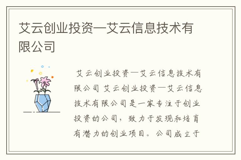 艾云创业投资—艾云信息技术有限公司