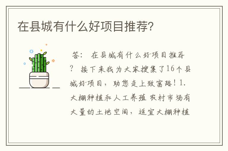 在县城有什么好项目推荐？