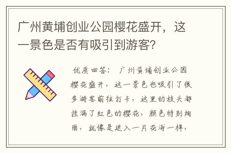 广州黄埔创业公园樱花盛开，这一景色是否有吸引到游客？