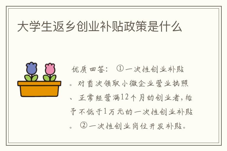 大学生返乡创业补贴政策是什么