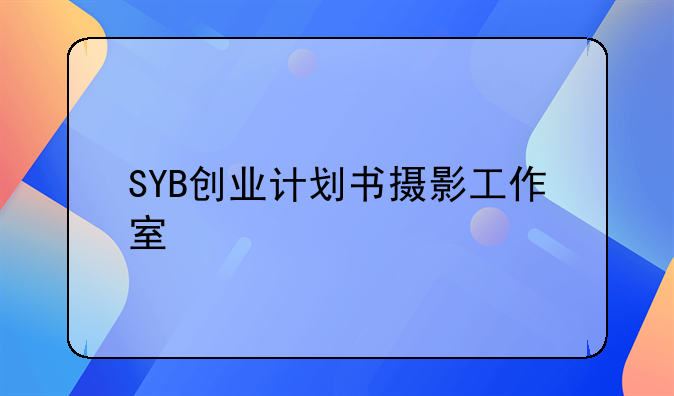 SYB创业计划书摄影工作室