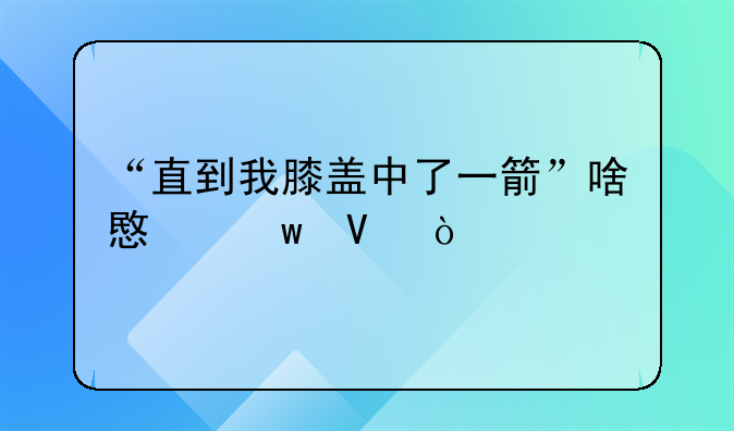 “直到我膝盖中了一箭”啥意思啊？