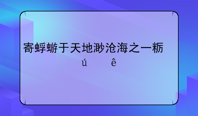 寄蜉蝣于天地渺沧海之一粟表达了什么