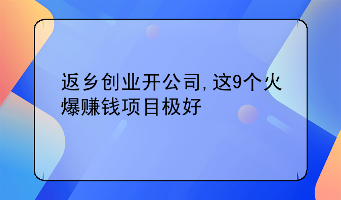 返乡创业开公司,这9个火爆赚钱项目极好