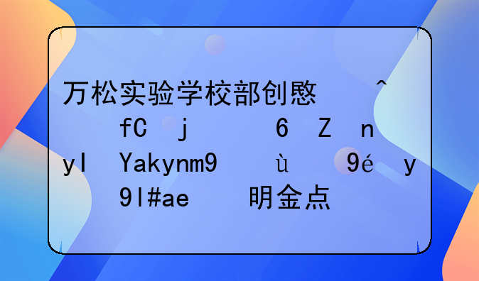 万松实验学校部创意无限的小学生六年级的科技小发明金点子怎么做？