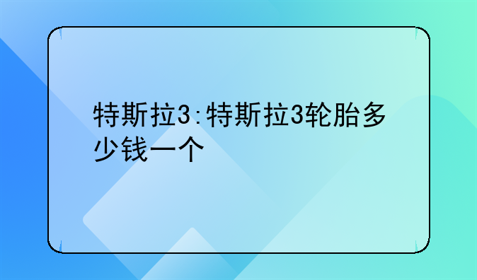 特斯拉3:特斯拉3轮胎多少钱一个